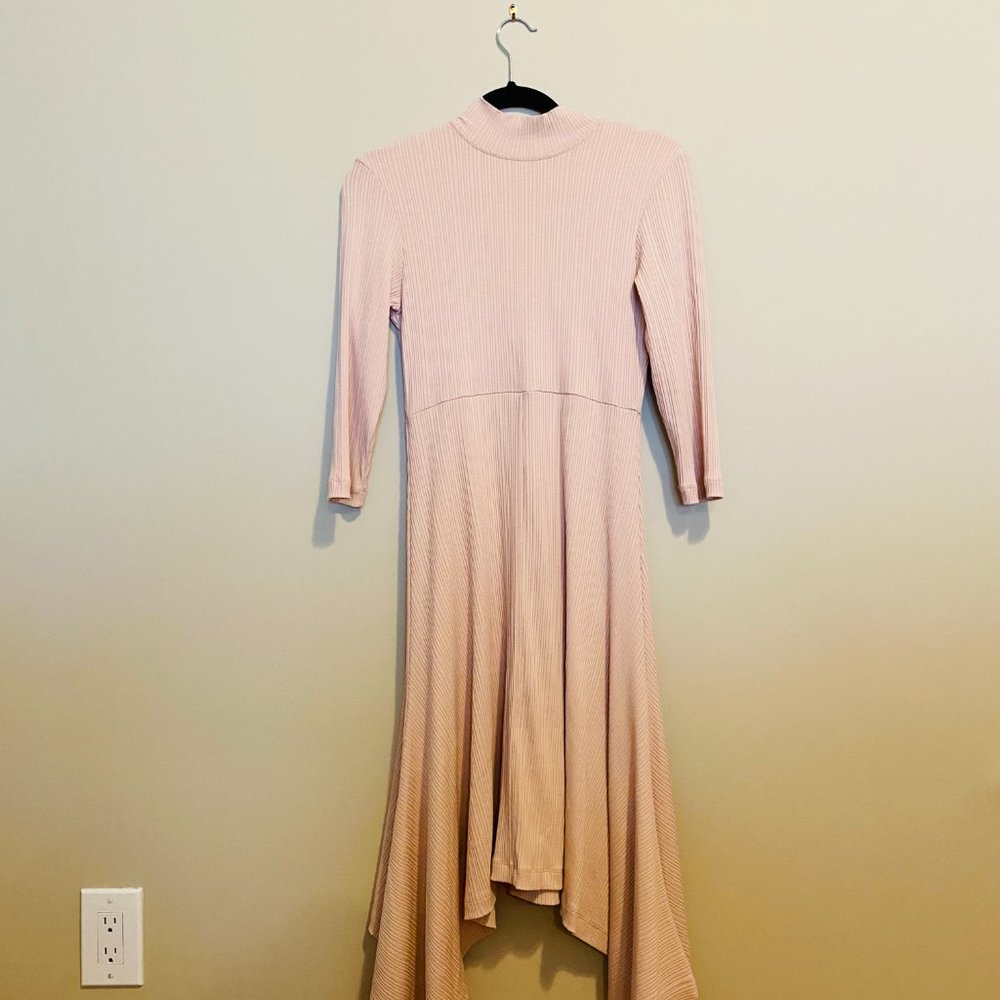 Anthropologie Ribbed Turtleneck Dress